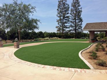 Artificial Grass Photos: Outdoor Carpet Tuscaloosa, Alabama Rooftop, Front Yard Design