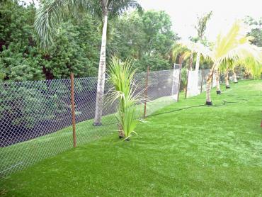 Artificial Grass Photos: Outdoor Carpet Vallejo, California Lawn And Landscape, Small Backyard Ideas