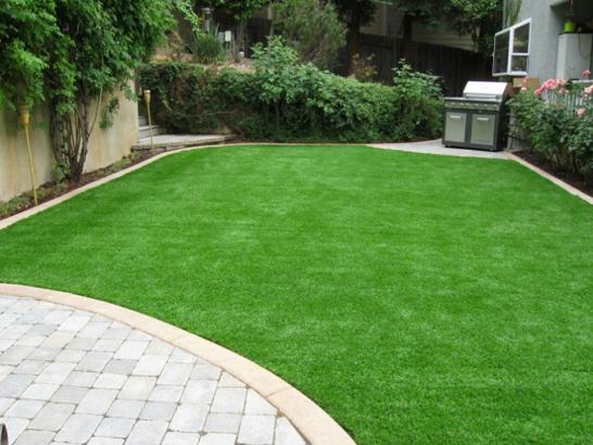 Artificial Grass Photos: Outdoor Carpet West Bloomfield Township, Michigan Lawns