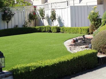 Artificial Grass Photos: Plastic Grass Farmington Hills, Michigan Design Ideas, Front Yard