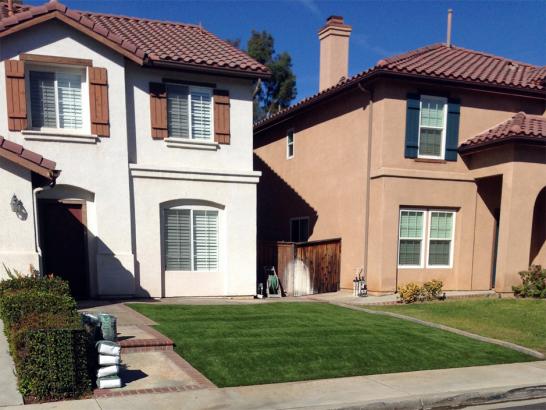 Artificial Grass Photos: Plastic Grass Great Falls, Montana Lawns, Front Yard Landscaping Ideas