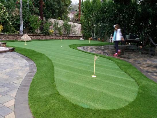 Artificial Grass Photos: Plastic Grass Janesville, Wisconsin Lawn And Garden, Backyards