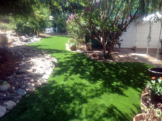 Artificial Grass Photos: Plastic Grass Palatine, Illinois Landscape Ideas, Backyard Landscape Ideas