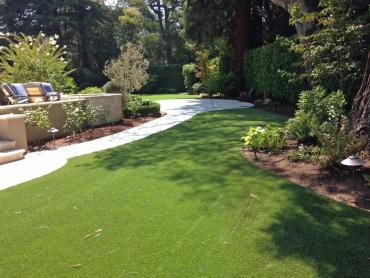 Artificial Grass Photos: Plastic Grass Pasadena, Texas Backyard Deck Ideas, Backyard Garden Ideas