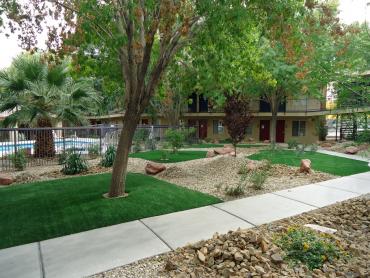 Artificial Grass Photos: Plastic Grass Pueblo, Colorado Lawns, Commercial Landscape