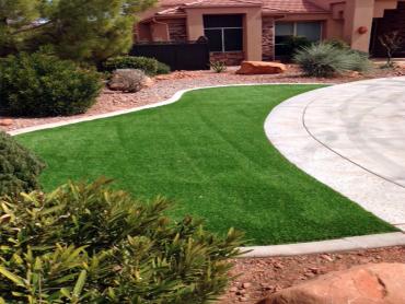 Artificial Grass Photos: Plastic Grass Sterling Heights, Michigan Lawns, Front Yard Landscaping Ideas