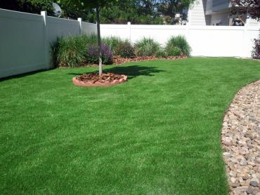 Plastic Grass Tucson, Arizona Gardeners, Backyard Landscaping Ideas artificial grass