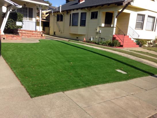 Artificial Grass Photos: Plastic Grass Victoria, Texas Garden Ideas, Front Yard