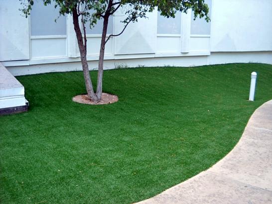 Artificial Grass Photos: Plastic Grass West Gulfport, Mississippi Landscaping, Commercial Landscape