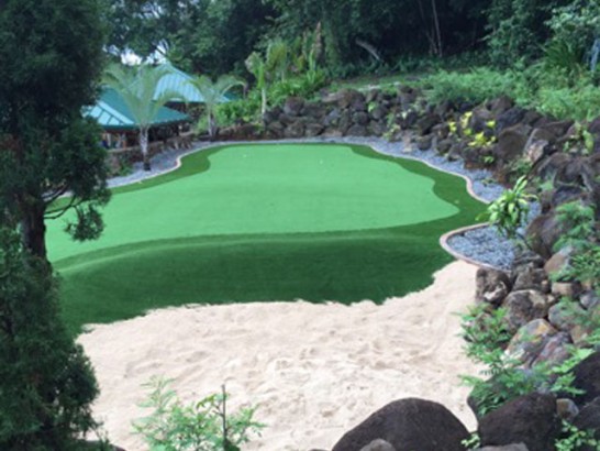 Artificial Grass Photos: Plastic Grass West New York, New Jersey Artificial Putting Greens