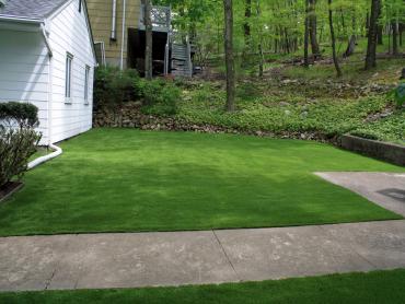 Artificial Grass Photos: Synthetic Grass Ann Arbor, Michigan Home And Garden, Front Yard Ideas