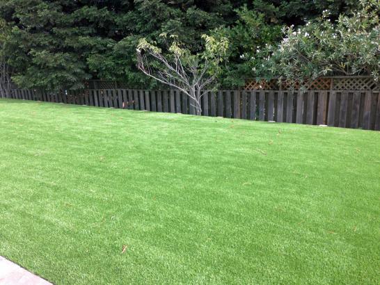 Artificial Grass Photos: Synthetic Grass Bellflower, California City Landscape, Backyard Landscaping