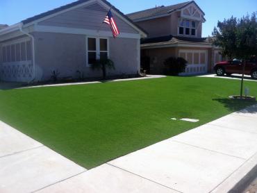 Artificial Grass Photos: Synthetic Grass Bridgeport, Connecticut Rooftop, Front Yard Design