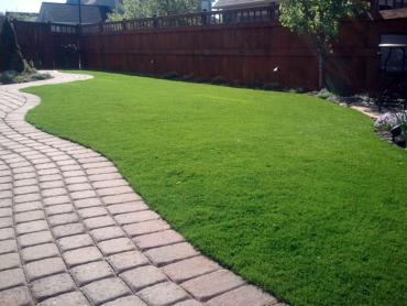 Synthetic Grass Buffalo, New York Lawn And Landscape, Backyard Design artificial grass