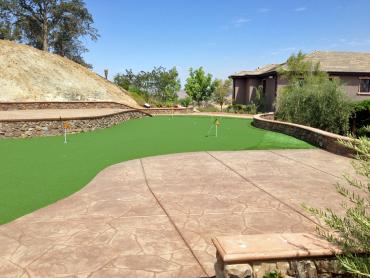 Artificial Grass Photos: Synthetic Grass Cost Albany, Georgia Putting Green Grass, Backyard Ideas