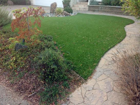 Artificial Grass Photos: Synthetic Grass Cost Bossier City, Louisiana Indoor Dog Park, Backyard Makeover