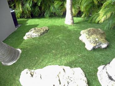 Artificial Grass Photos: Synthetic Grass Cost Kansas City, Missouri Landscaping Business, Backyards