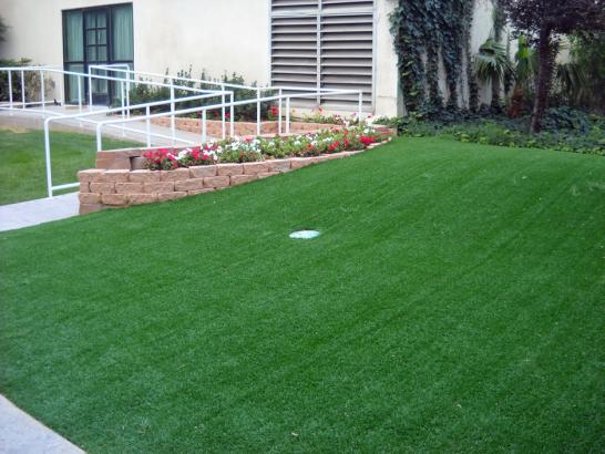 Artificial Grass Photos: Synthetic Grass Cost Laguna Niguel, California Paver Patio, Front Yard Landscape Ideas