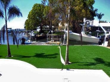 Artificial Grass Photos: Synthetic Grass Cost New South Memphis, Tennessee Lawn And Garden, Backyard Garden Ideas