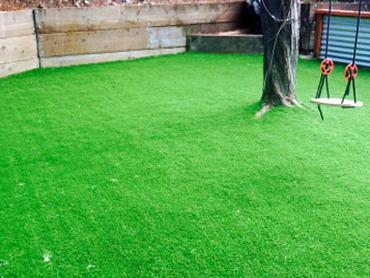 Artificial Grass Photos: Synthetic Grass Cost Portsmouth, Virginia Lacrosse Playground, Backyard Ideas