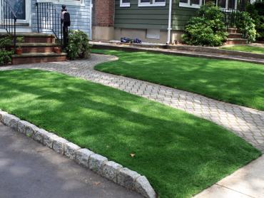 Artificial Grass Photos: Synthetic Grass Cost Roseville, California Landscape Ideas, Front Yard Landscape Ideas