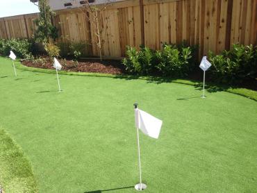 Artificial Grass Photos: Synthetic Grass Cost Santa Monica, California Landscape Ideas, Backyard Landscaping