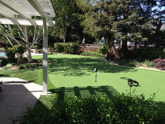 Artificial Grass Photos: Synthetic Grass Cost Smyrna, Georgia Garden Ideas