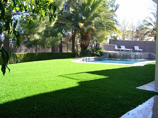 Artificial Grass Photos: Synthetic Grass Cost South Hill, Washington Backyard Playground, Backyards