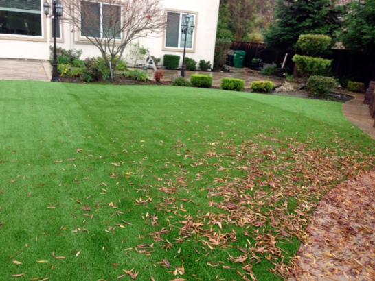 Artificial Grass Photos: Synthetic Grass Cost Temple, Texas Backyard Deck Ideas, Backyard Ideas