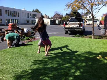 Artificial Grass Photos: Synthetic Grass Cost Thornton, Colorado Landscaping Business, Commercial Landscape