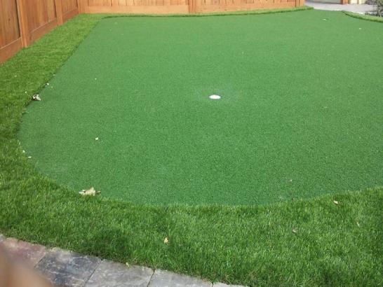 Artificial Grass Photos: Synthetic Grass Daytona Beach, Florida Diy Putting Green