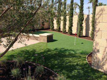 Artificial Grass Photos: Synthetic Grass Gary, Indiana Golf Green, Backyard Landscaping