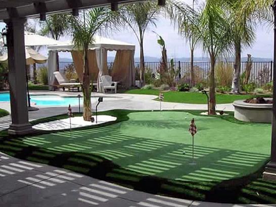 Artificial Grass Photos: Synthetic Grass Grand Junction, Colorado Landscaping Business, Natural Swimming Pools