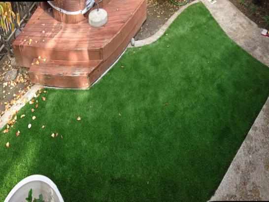 Artificial Grass Photos: Synthetic Grass Marysville, Washington Landscaping Business, Backyard Makeover