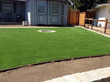Artificial Grass Photos: Synthetic Grass Mesquite, Texas Landscape Ideas, Landscaping Ideas For Front Yard