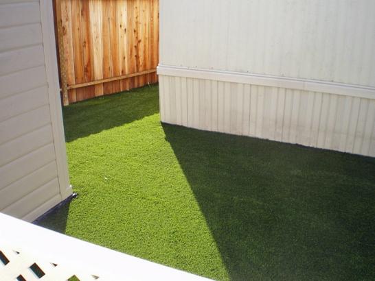 Artificial Grass Photos: Synthetic Grass Monterey Park, California Rooftop, Backyard Ideas