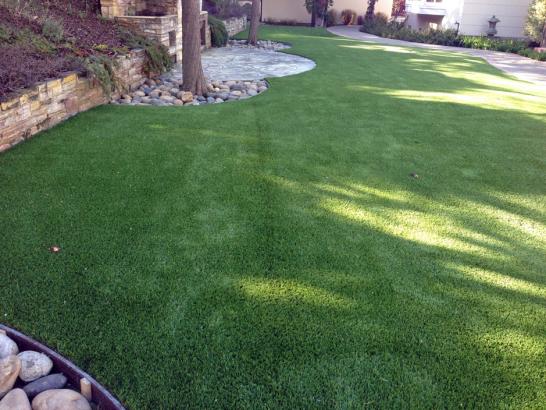 Artificial Grass Photos: Synthetic Grass Wilmington, Delaware Hotel For Dogs, Backyard