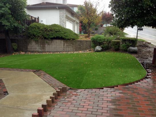 Synthetic Lawn Alameda, California Landscape Rock, Backyard Ideas artificial grass