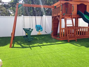 Artificial Grass Photos: Synthetic Lawn Albany, New York Design Ideas, Backyard Landscaping Ideas