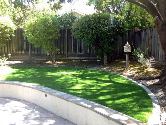 Artificial Grass Photos: Synthetic Lawn Appleton, Wisconsin Landscape Ideas, Commercial Landscape