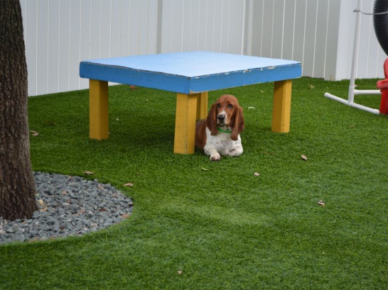 Artificial Grass Photos: Synthetic Lawn Buckeye, Arizona Cat Playground, Commercial Landscape