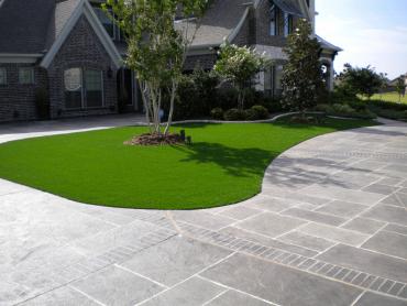 Artificial Grass Photos: Synthetic Lawn Davie, Florida Landscape Photos, Front Yard Landscaping Ideas