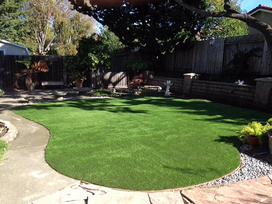 Artificial Grass Photos: Synthetic Lawn Elyria, Ohio Lawn And Garden, Backyard Ideas