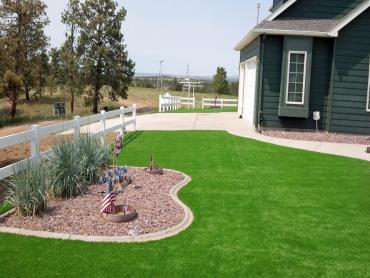 Artificial Grass Photos: Synthetic Lawn Flint, Michigan Home And Garden, Front Yard Landscaping Ideas