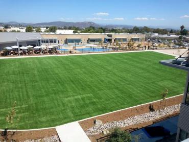 Artificial Grass Photos: Synthetic Lawn Frisco, Texas Softball, Commercial Landscape