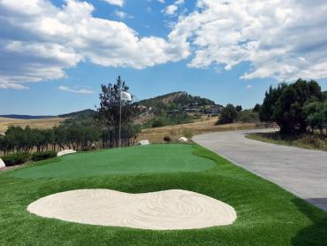 Artificial Grass Photos: Synthetic Lawn Fullerton, California Home And Garden, Front Yard Landscaping