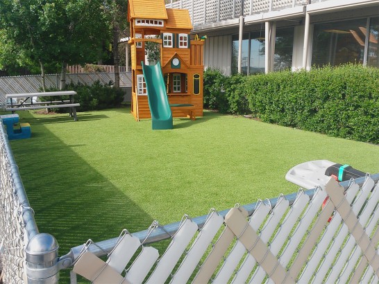 Artificial Grass Photos: Synthetic Lawn Hacienda Heights, California Landscape Design, Backyard