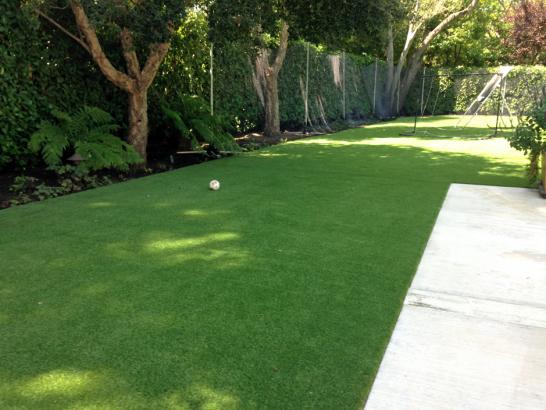 Artificial Grass Photos: Synthetic Lawn Indio, California Backyard Deck Ideas