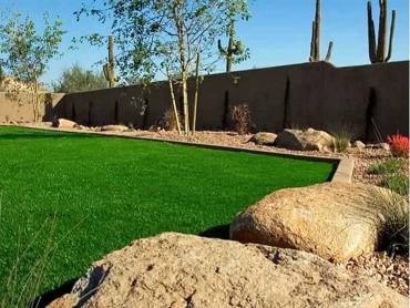 Artificial Grass Photos: Synthetic Lawn O'Fallon, Missouri Landscape Design, Backyard Landscaping Ideas