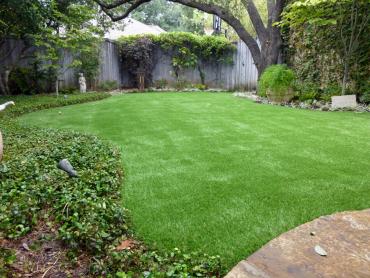 Artificial Grass Photos: Synthetic Lawn Olathe, Kansas Landscape Photos, Backyard Landscaping